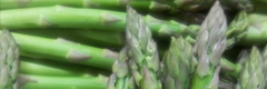 Asparagi